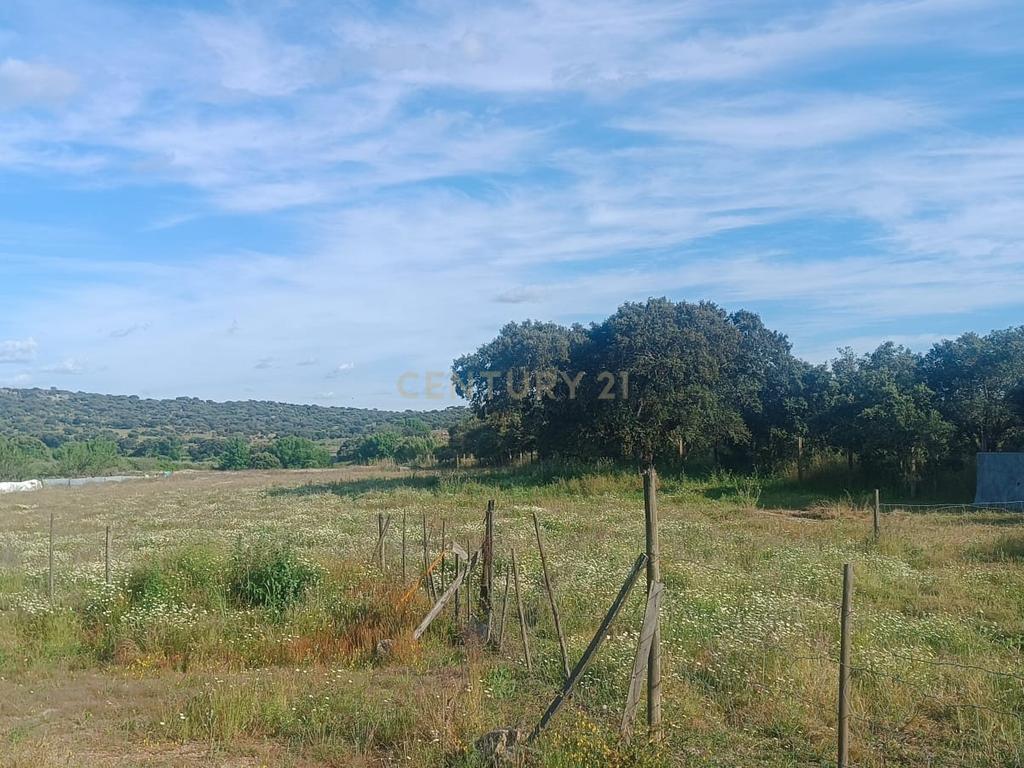 Excelente terreno em Santa Eulália Elvas - Image 8