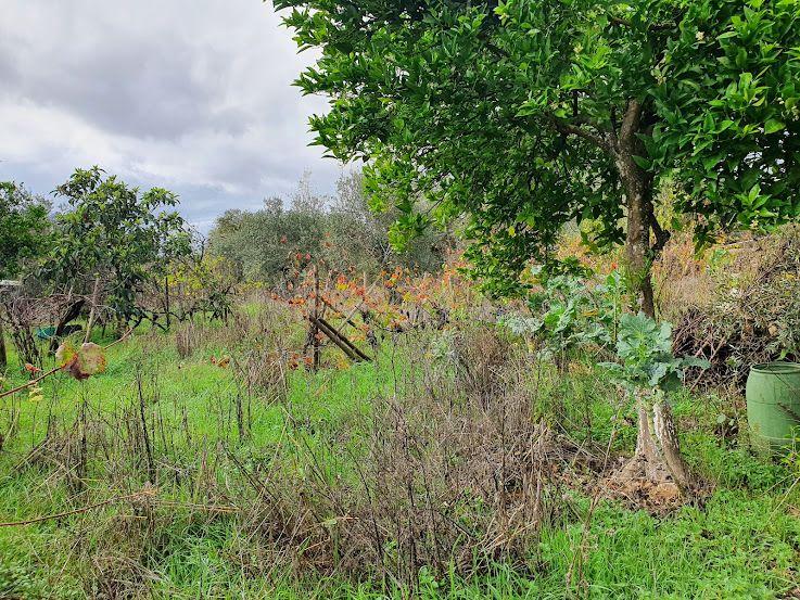 Fotografia 5 de Terreno com Vista para o Rio em Chão Grande - Gonçalo - Guarda