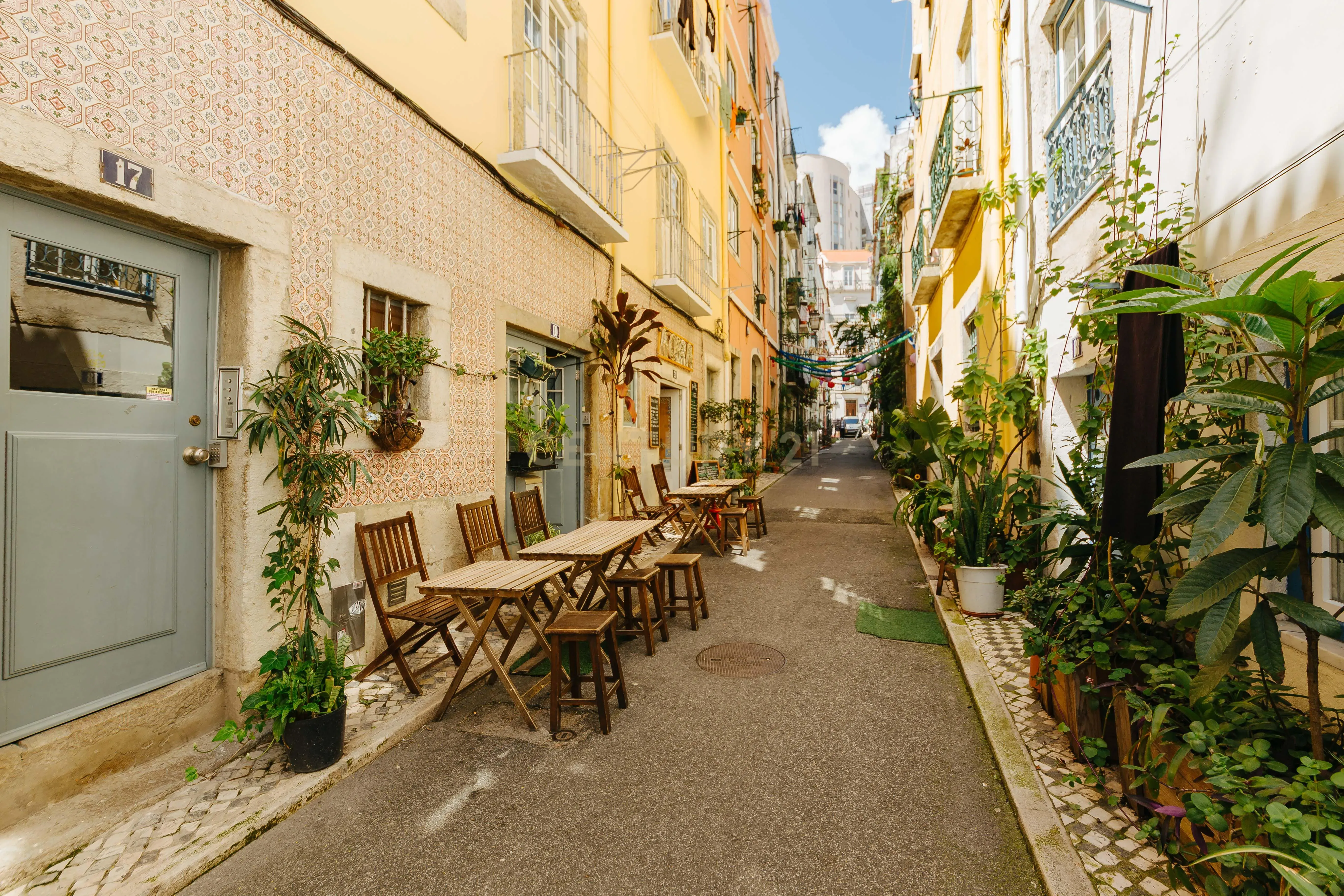 Onde Lisboa Floresce — Um Espaço com Alma na Rua da Silva - Image 16