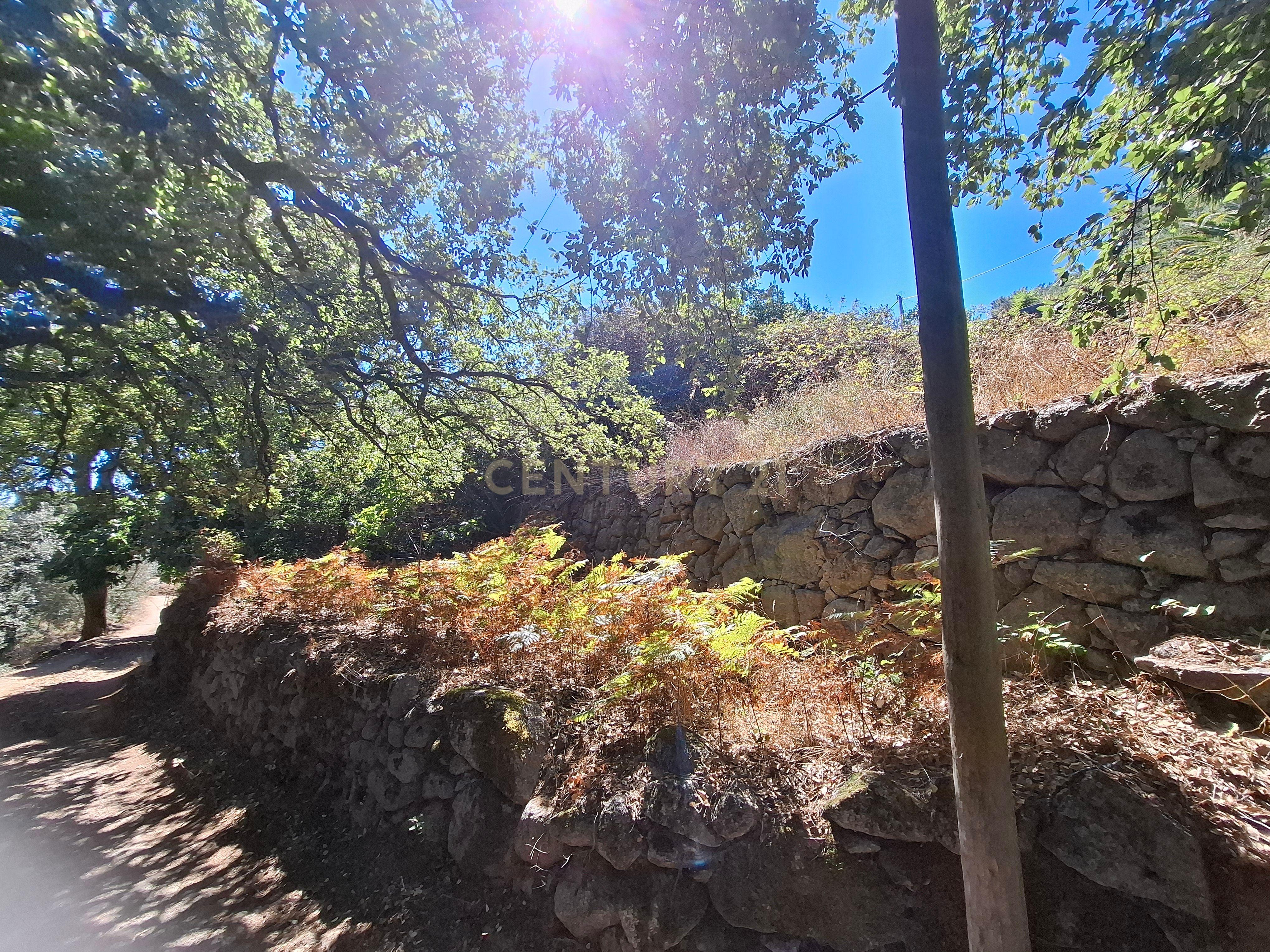 Fotografia 11 de OPORTUNIDADE - REFÚGIO PERFEITO EM MONCHIQUE: QUINTA COM 1,2 HECTARES COM VISTA DESLUMBRANTE PARA SUL E COM UM POTENCIAL UNICO.