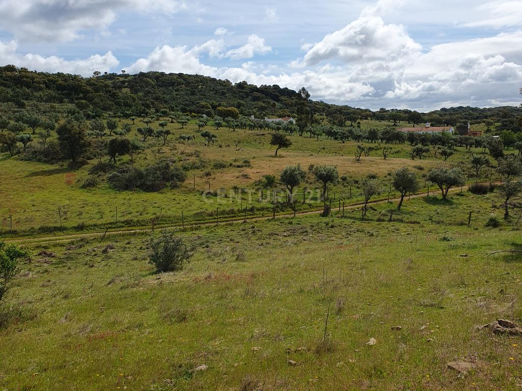 Terreno Urbano na Serra D`Ossa Redondo - Image 2