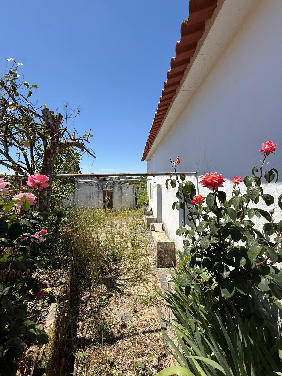 Fotografia 3 de Casa de Campo em Alegrete, Portalegre - Oportunidade Única