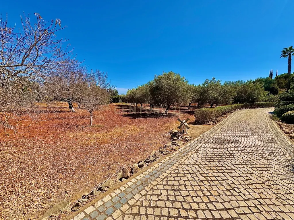 MORADIA DE LUXO PARA VENDA PECHÃO ( VALE DE MÓ) - Image 25