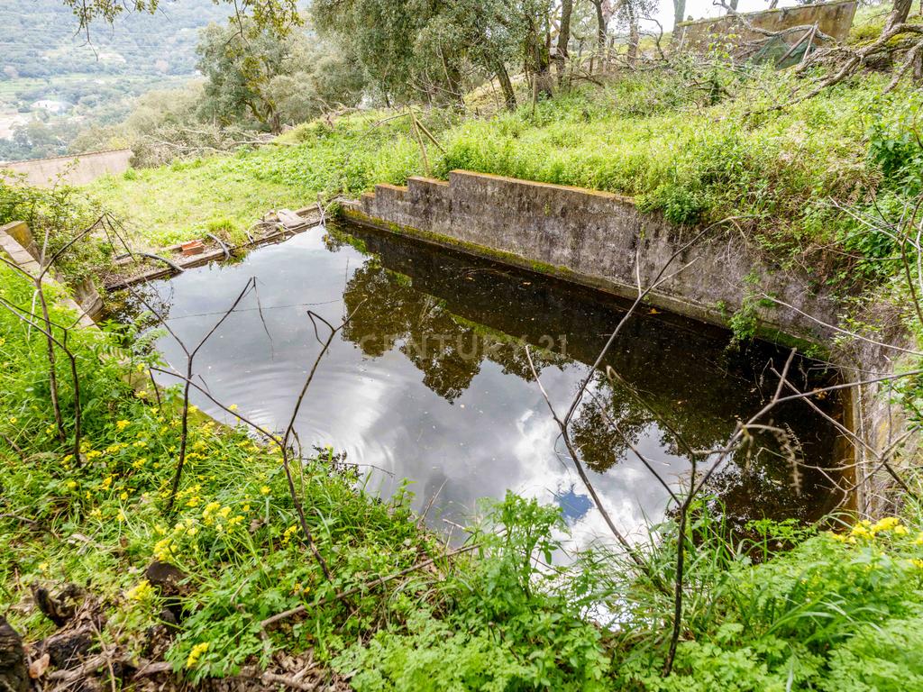QUINTA COM 2,5 HECTARES EM ZONA CENTRAL DE MONCHIQUE - Image 33