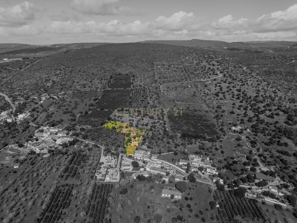 Quinta encantadora com potencial de expansão perto de Albufeira - Image 35