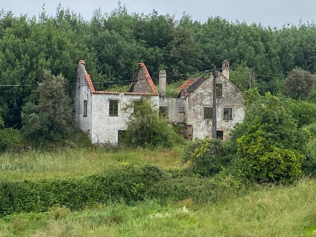 Quinta com Ruína - Oportunidade de Negócio - Image 2