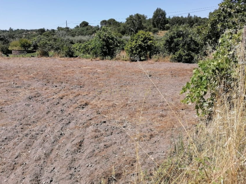 Terreno Agrícola em Gavião, Portalegre - 2500m² com casa - Image 16