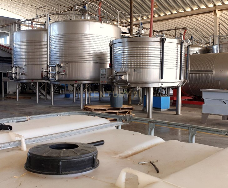 Herdades com produção Vinho, com 157,3ha situada em Terrugem, concelho de Elvas - Image 4