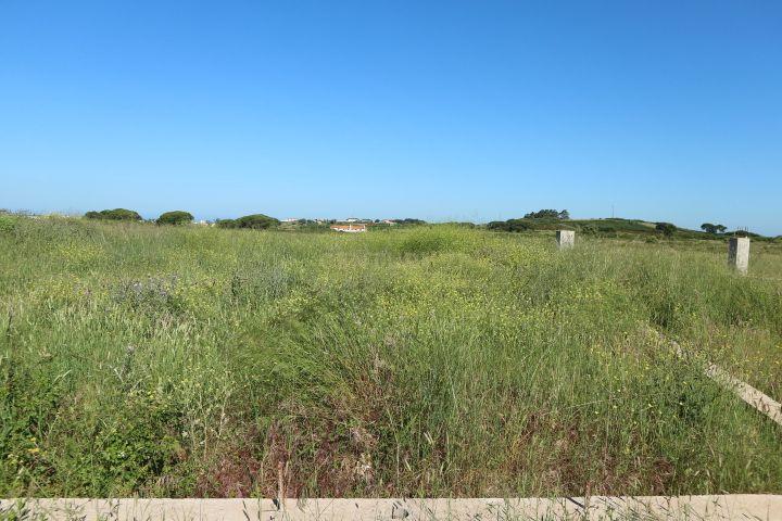 Terreno 37.920 m2, considerado como Espaços Industriais no PDM de Sintra (Valor Negociável) - Image 5