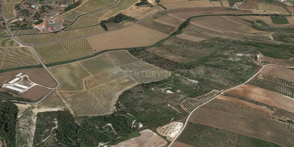 Terreno rústico de 19.720,00 m2 em Abitureiras para vinha e Olival - Image 9