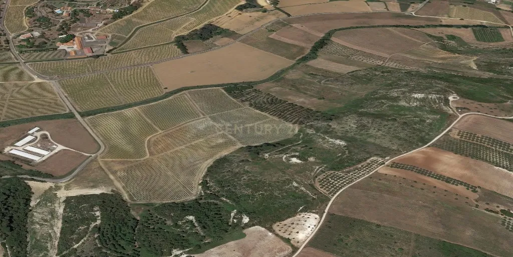 Terreno rústico de 19.720,00 m2 em Abitureiras para vinha e Olival - Image 9