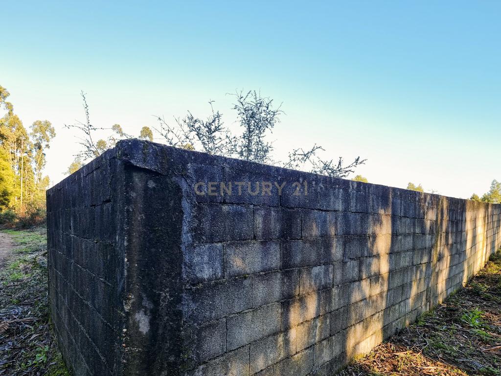 Excelente investimento, terreno rústico em Paços de Ferreira - Image 4
