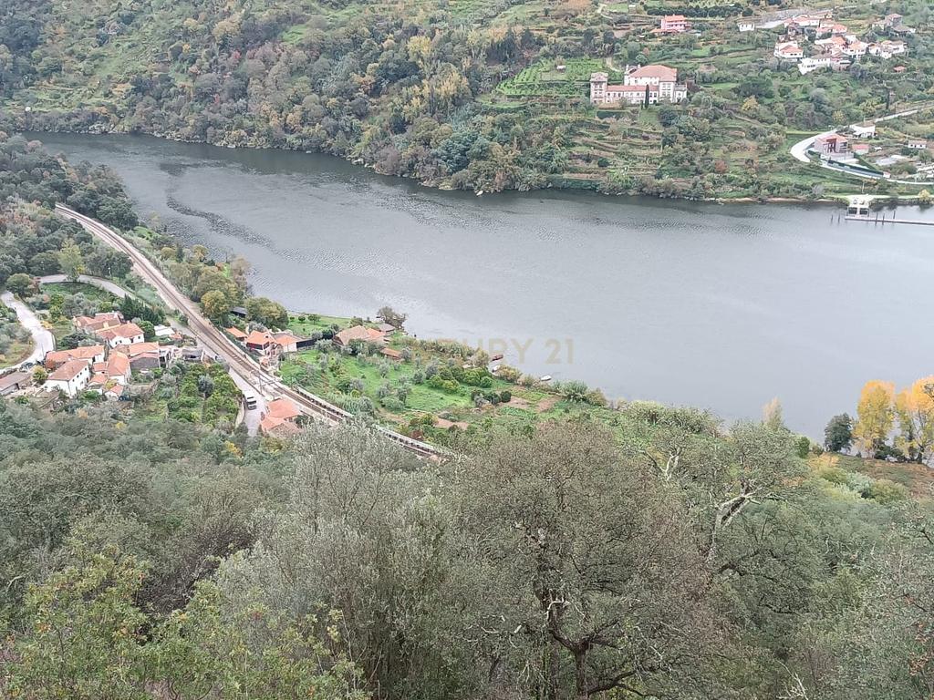 Terreno florestal com vista para a praia fluvial de Porto de Rei em Barqueiros, Mesão Frio às portas do Douro - Image 1