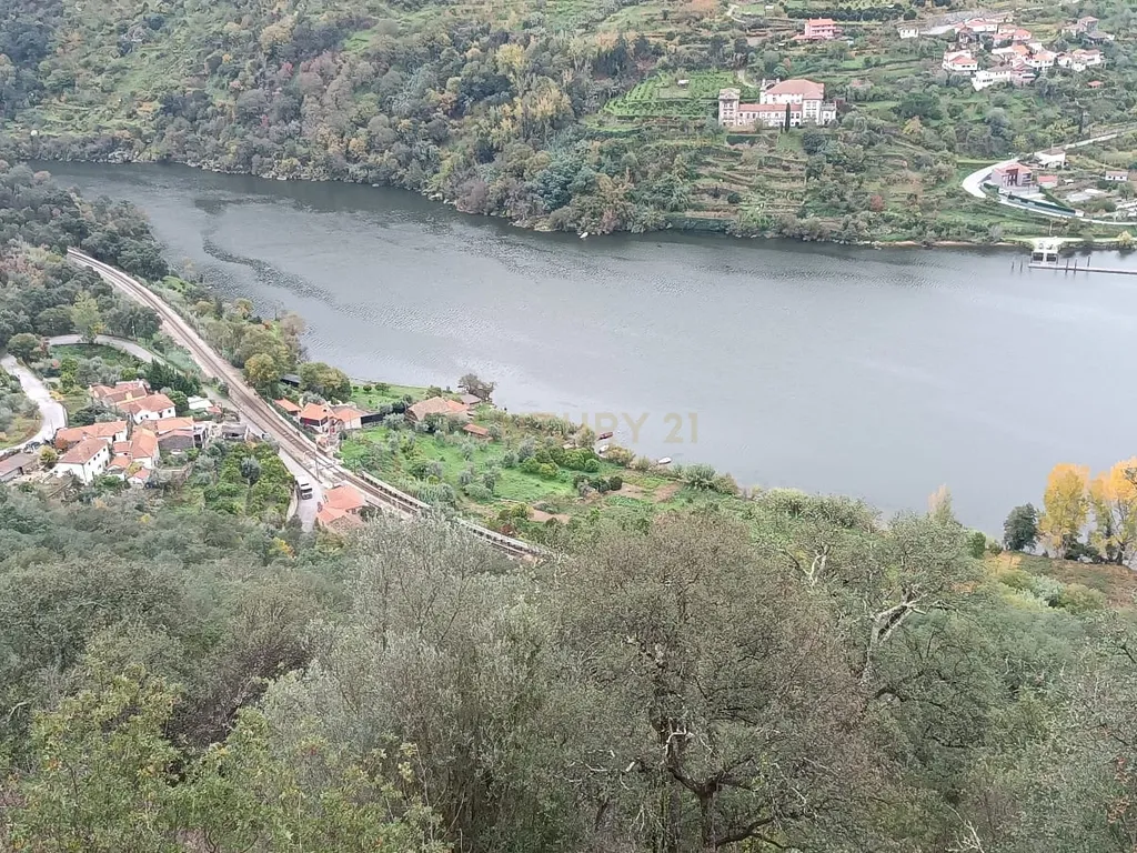 Terreno florestal com vista para a praia fluvial de Porto de Rei em Barqueiros, Mesão Frio às portas do Douro - Image 1