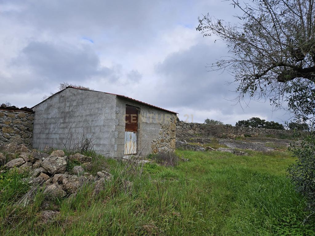 Quintinha na Lousa, Castelo Branco - Image 12