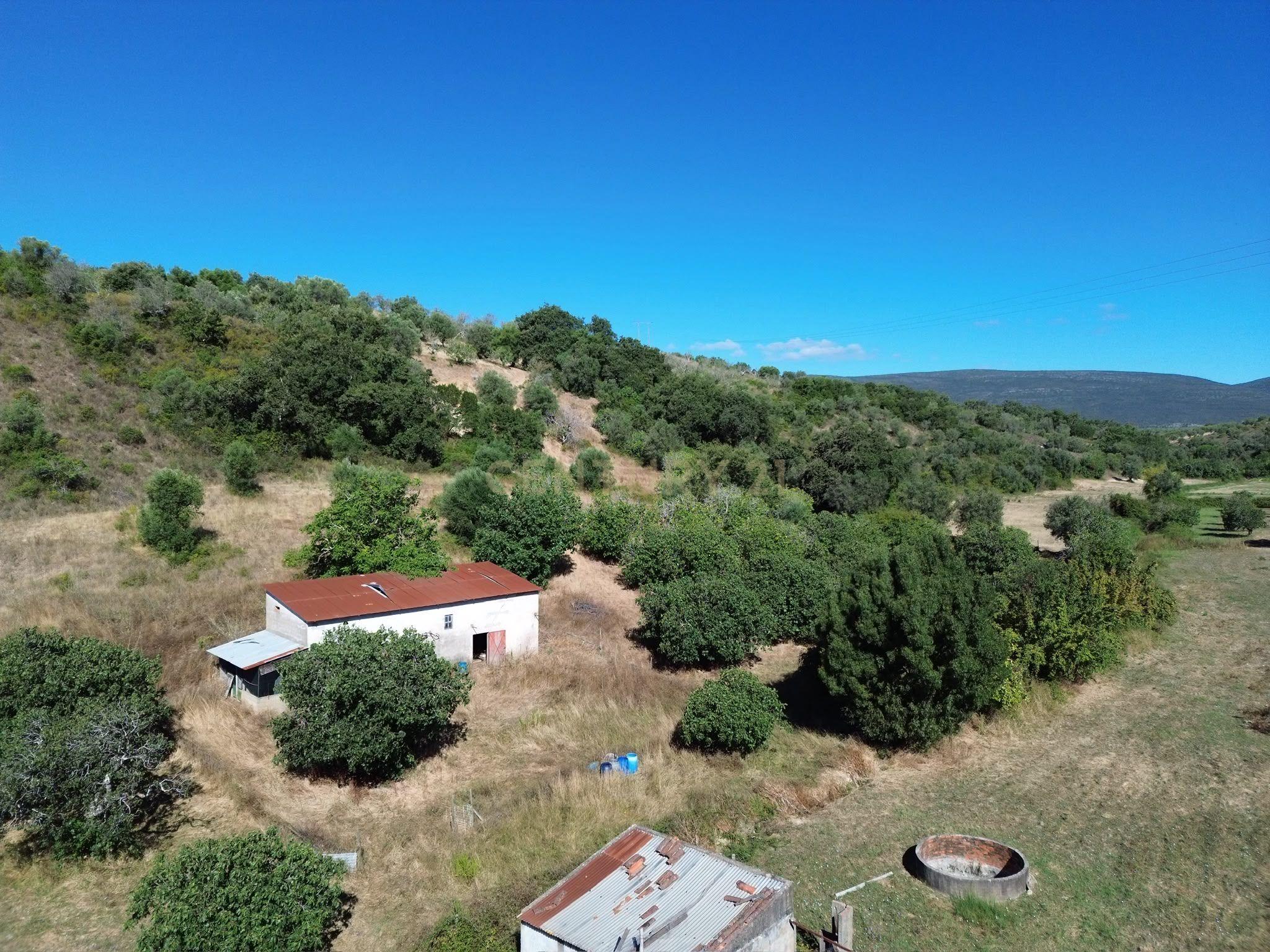 Fotografia 7 de Terreno Rústico com 29.880 m² nas Lapas, Torres Novas