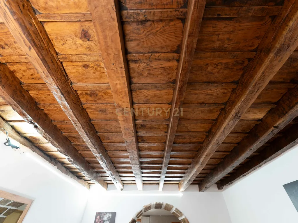 - Image 12