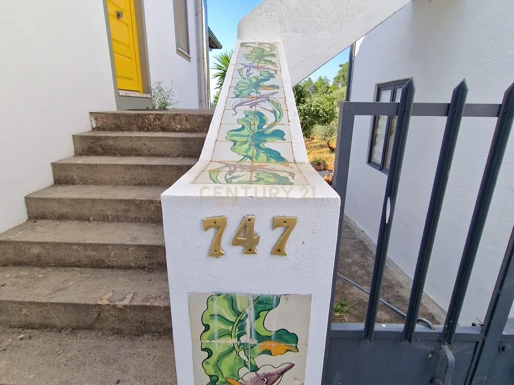 Encantadora propriedade rural | Oportunidade única de investimento - Olalhas, Tomar - Image 42