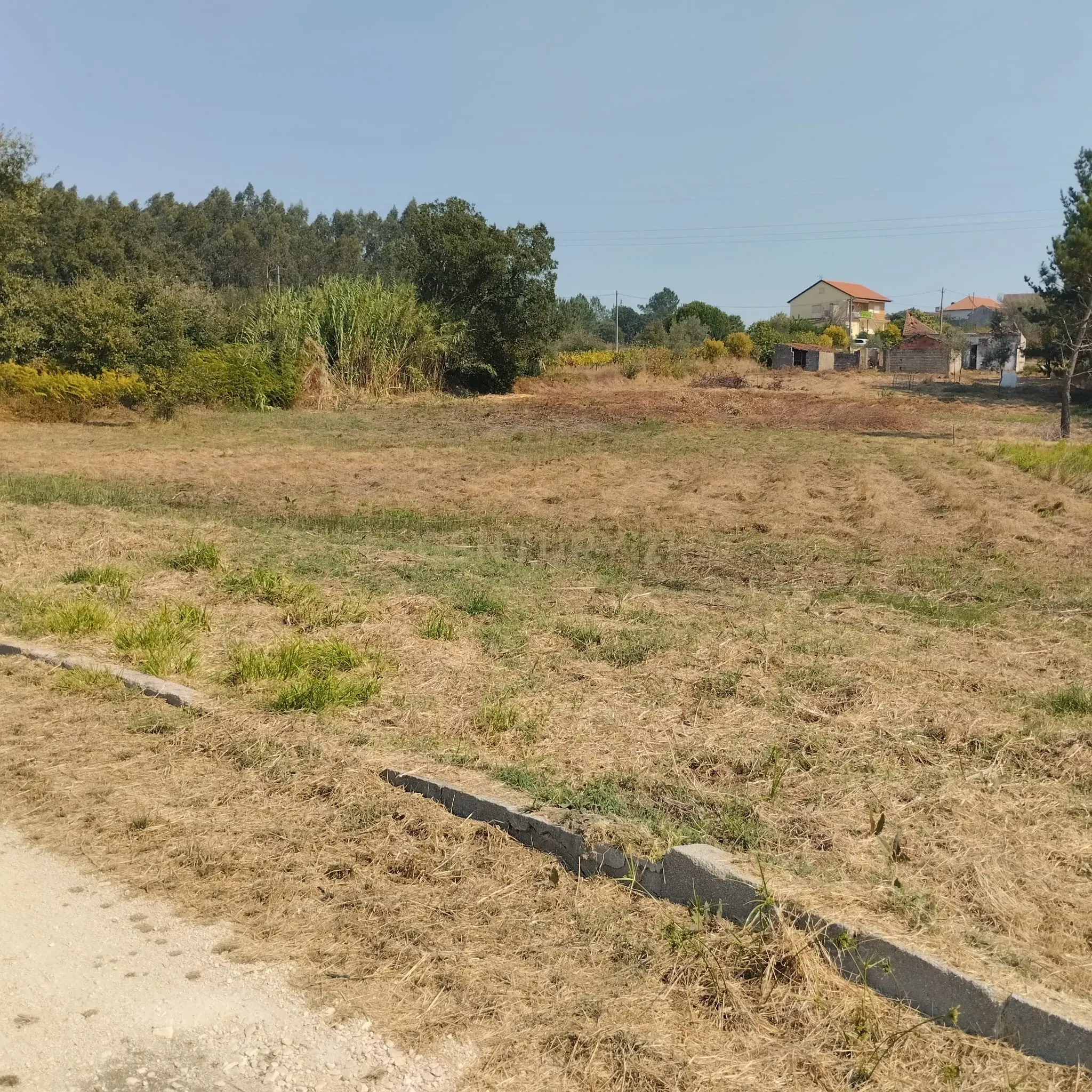 Moradia em Meires, Pelariga Pombal - Image 22