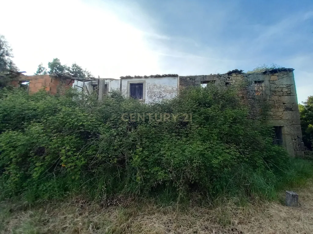 Encantadora Propriedade em Louriçal do Campo, Castelo Branco - Image 44