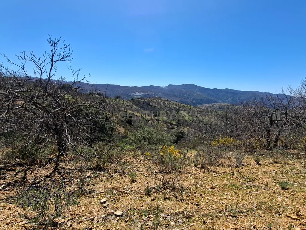 Moradia geminada de gaveto, com orientação sul, vistas para a montanha e duas propriedades rústicas com oliveiras, vinhas e castanheiros, no coração do Alto Genal. - Image 31