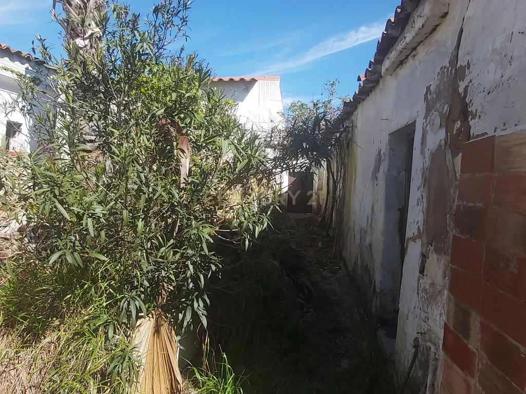 🏡 Moradia T5 para Recuperar – Baleizão (16 km de Beja) - Image 30