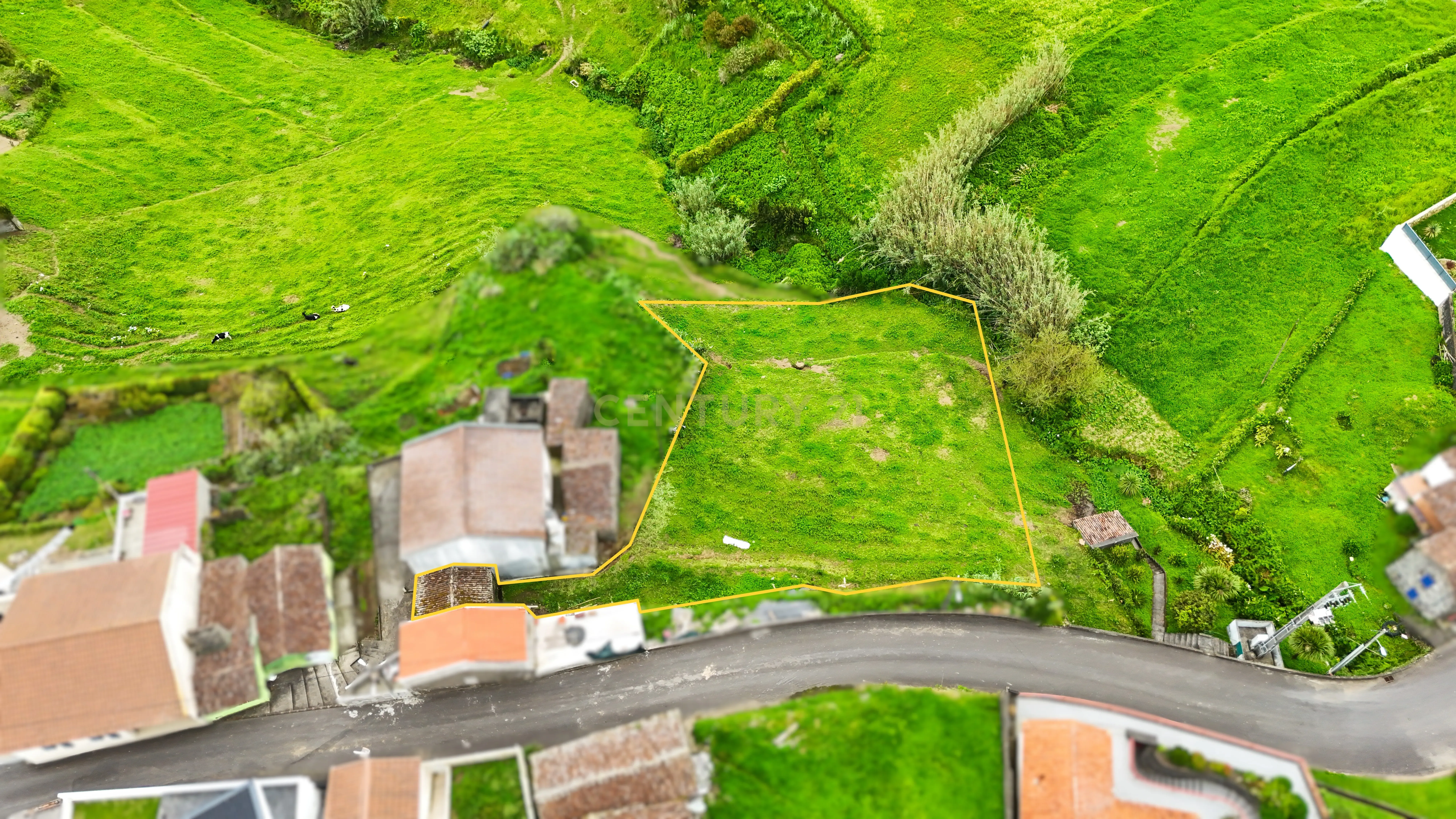 Ruína com Vista Mar e Potencial de Construção – Feteira Grande, Nordeste (São Miguel, Açores) - Image 1