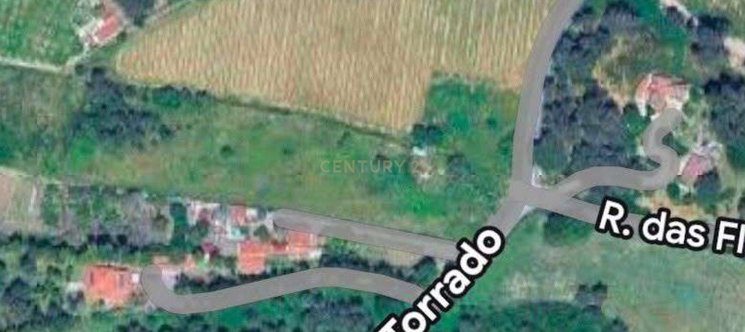 Fotografia 8 de Vende-se Terreno com 7880 m2 e vista privilegiada para a Serra de Sintra  - Galamares.