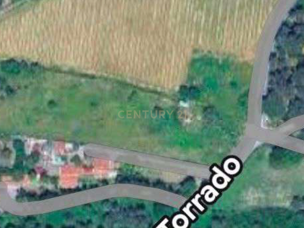 Vende-se Terreno com 7880 m2 e vista privilegiada para a Serra de Sintra - Galamares. - Image 8