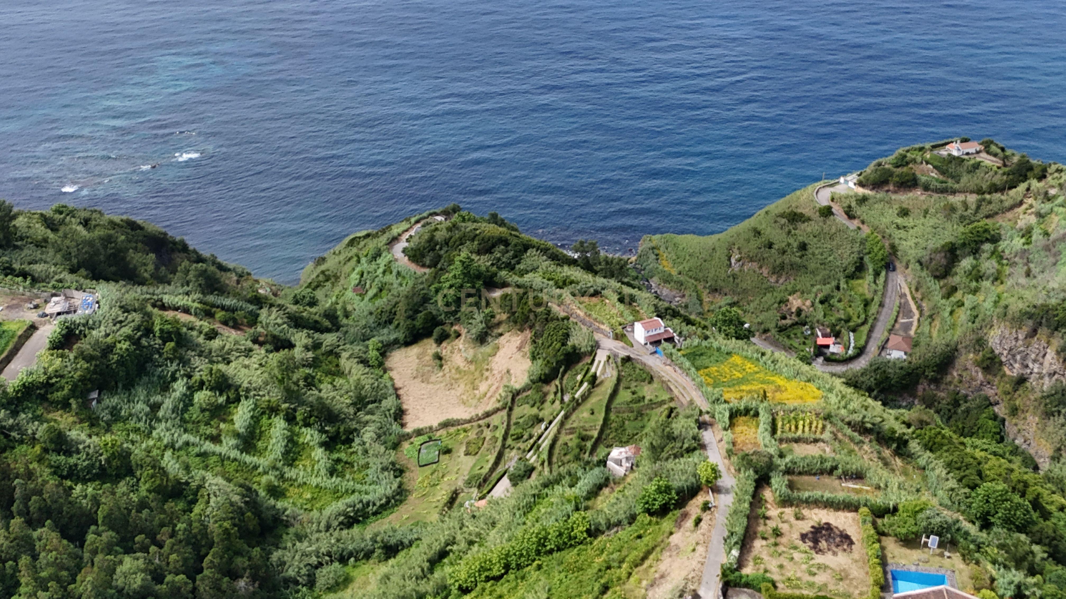 Fotografia 3 de 🌿 Um refúgio de natureza em plena costa norte de São Miguel! 🌊