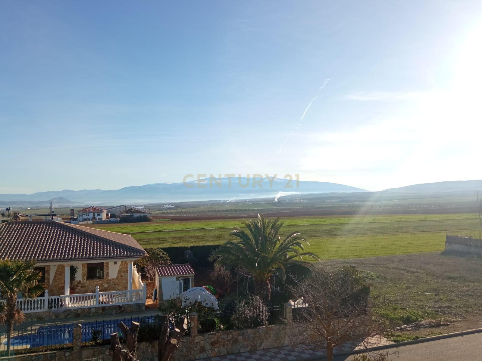 undefined - Image 15