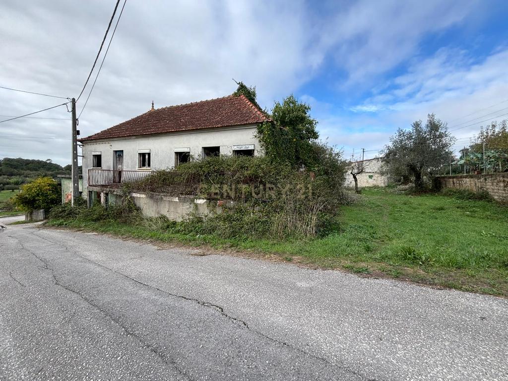 Moradia em ruína para recuperação em Pombal, Leiria - Image 3