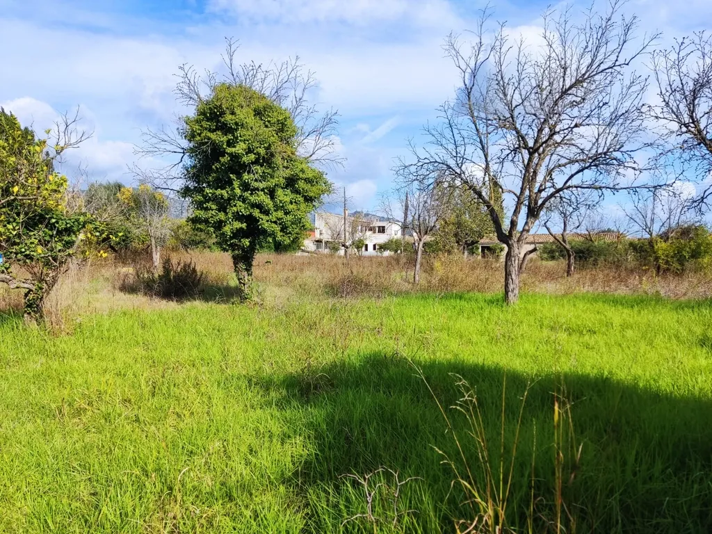Moderna Moradia T4 em Selva, Mallorca - 650.000€ - Image 38