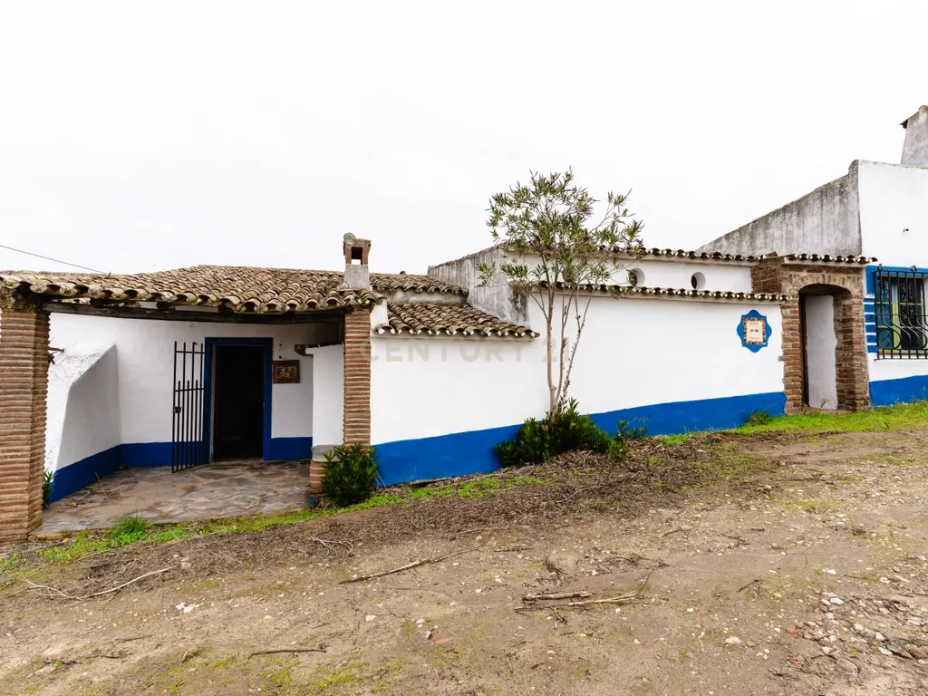 Monte típico 15ha Reguengos Monsaraz "Corval" 5 divisões, piscina e vinha - Image 8