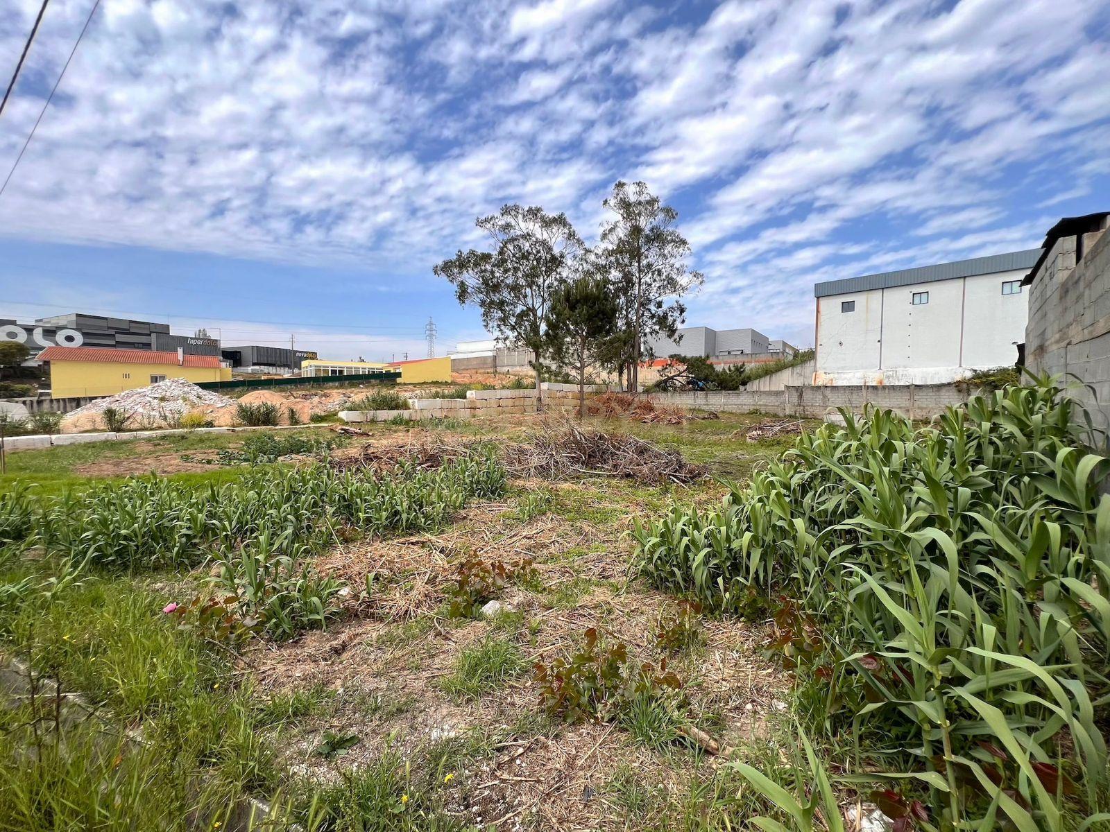 Fotografia 6 de Terreno com 2.000m² junto à zona industrial de Óbidos