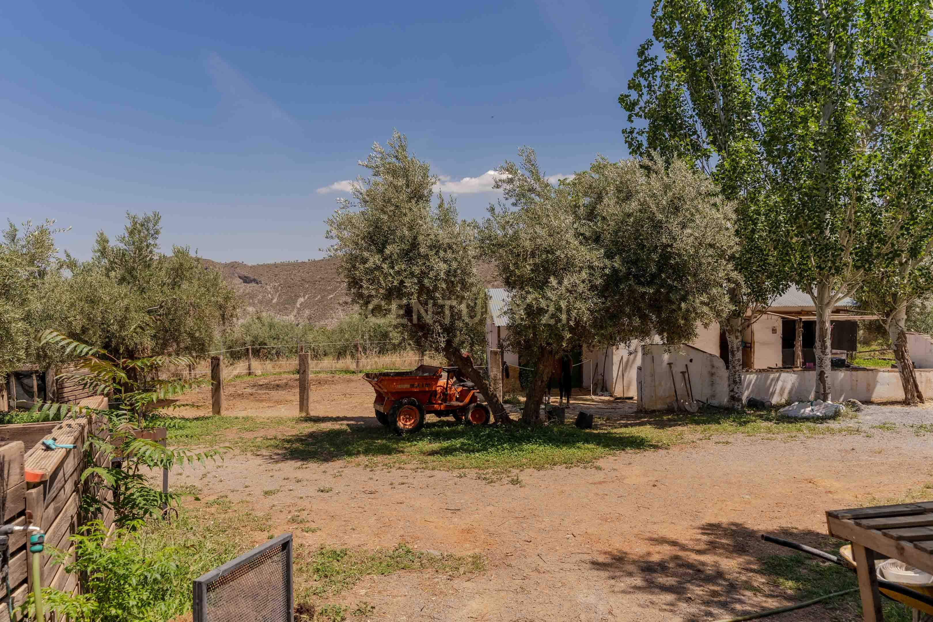 undefined - Image 80