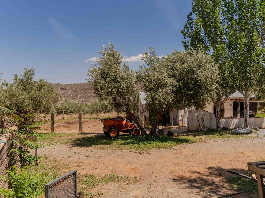 undefined - Image 80