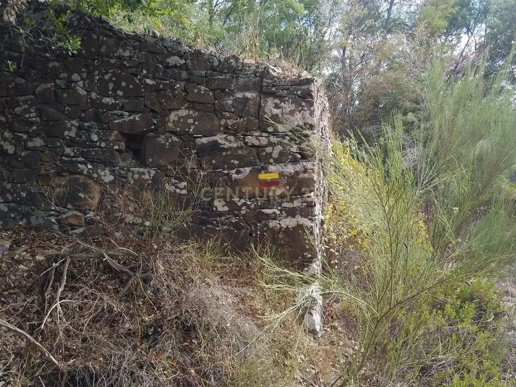 Ruína com Terreno nos Besteirinhos - Refúgio Natural em Salir - Image 9