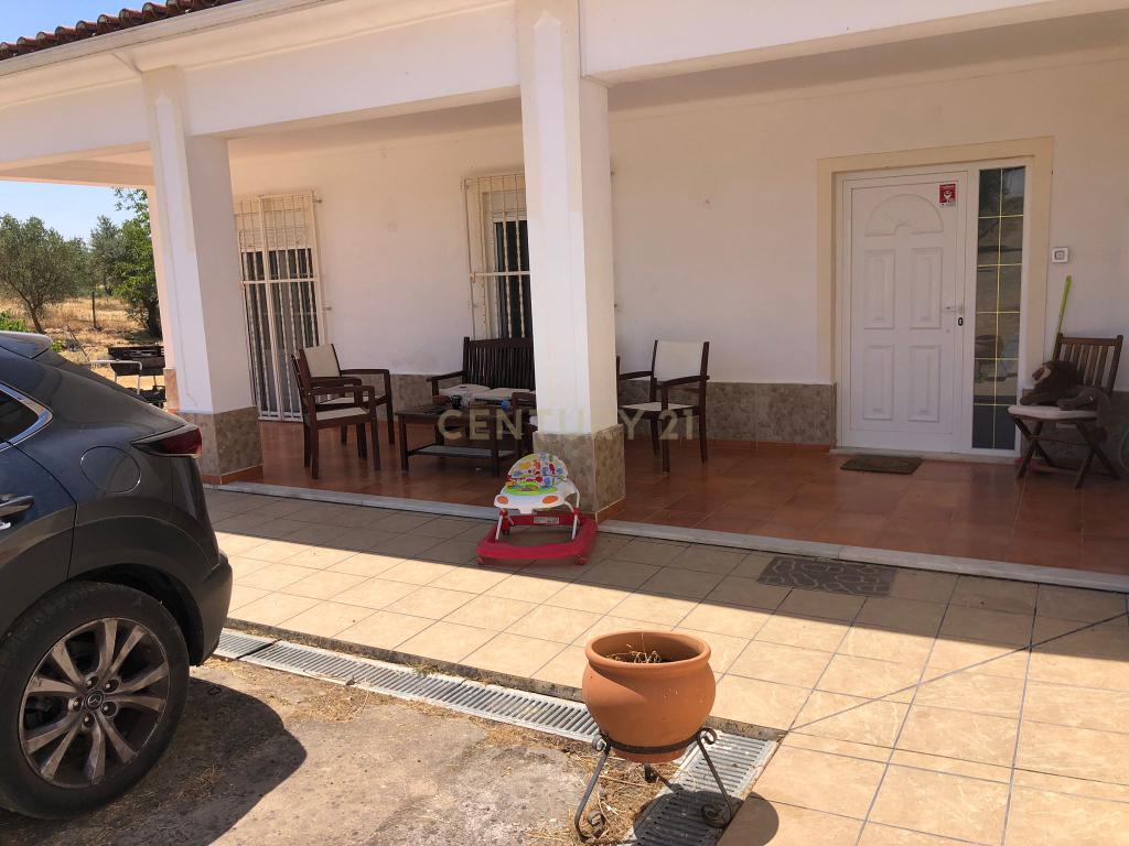 Espetacular Moradia com Piscina e Vinhedo em Campo Maior - Image 6