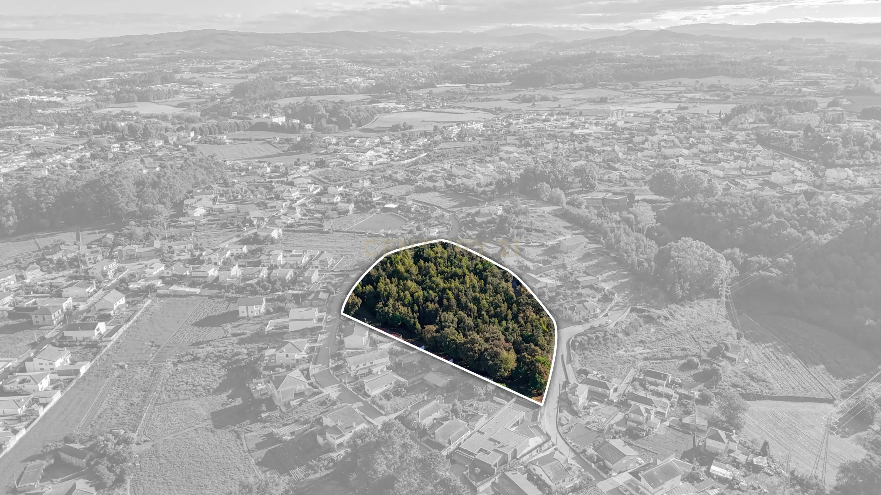 Terreno com 14.000m2 próximo ao Centro de Santo Tirso - Image 5