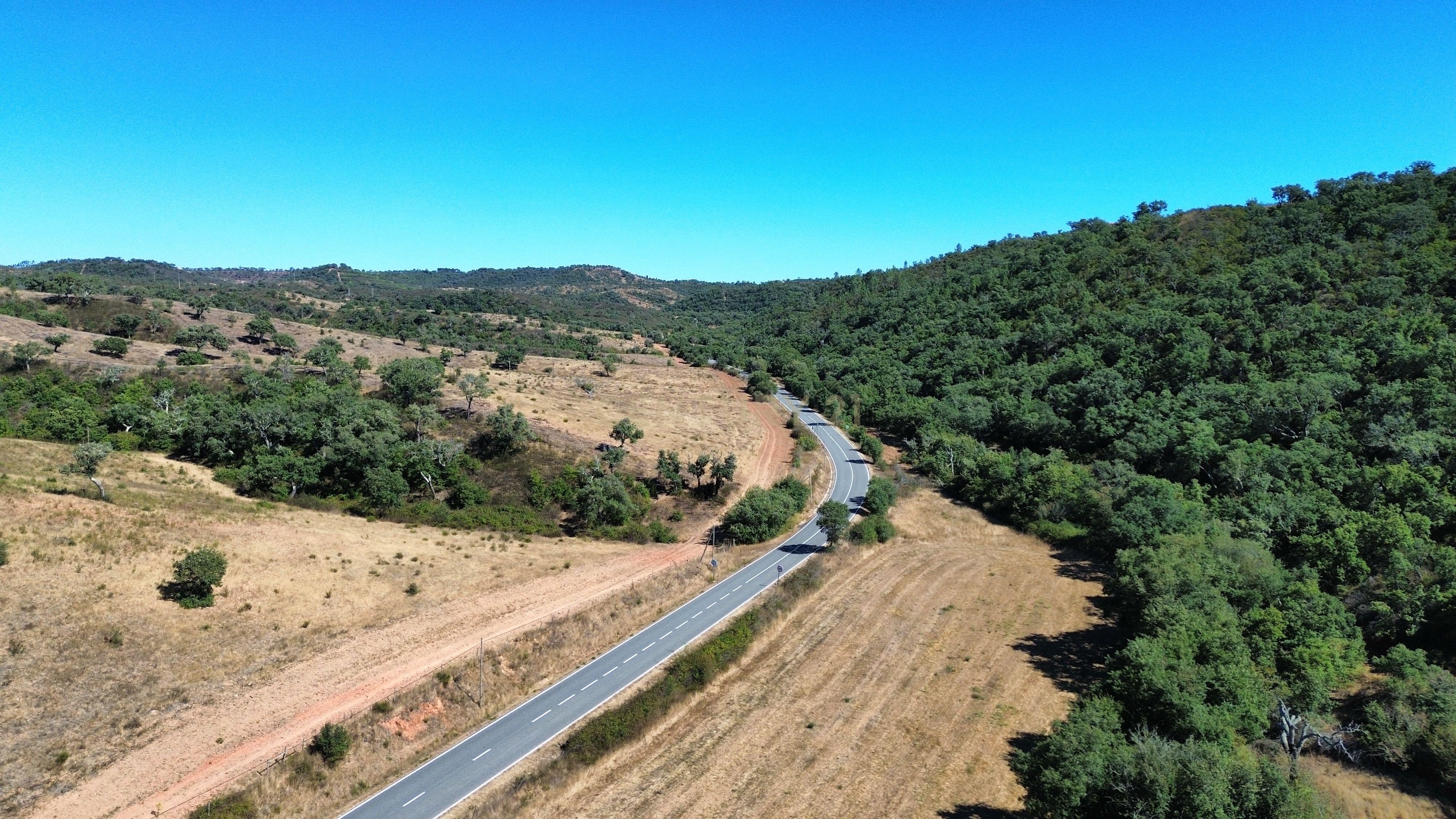 Fotografia 5 de HERDADE COM 193 HECTARES | BOAVISTA DOS PINHEIROS, ODEMIRA