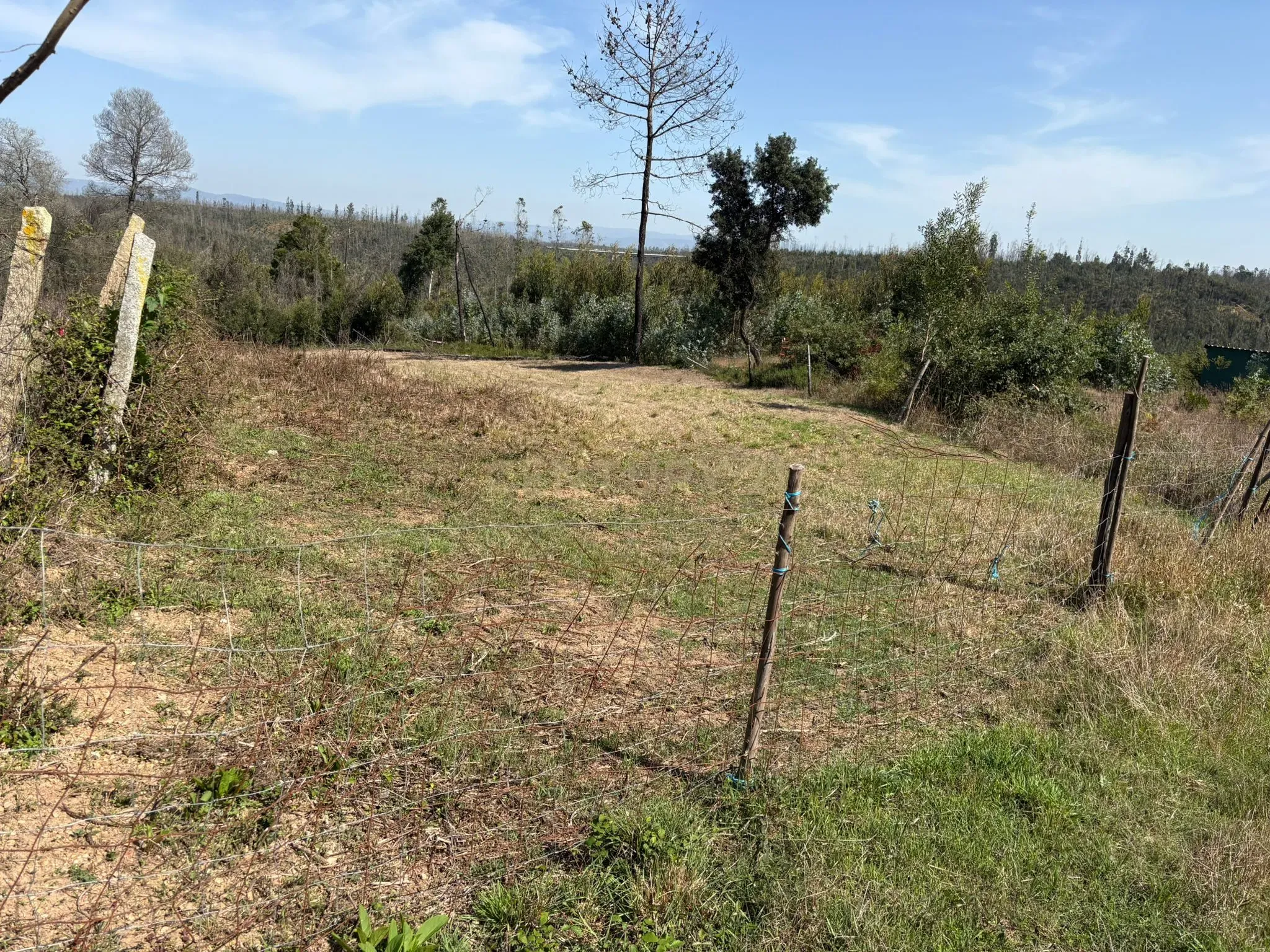 Fotografia 8 de Terreno Urbano em Angeja, Albergaria a Velha