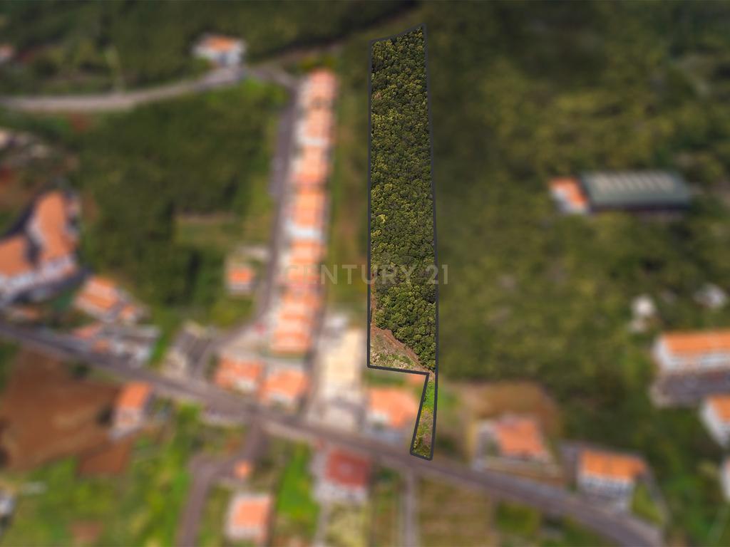 Terreno de 4734m² com Vista Mar em Santa Cruz – Madeira - Image 2