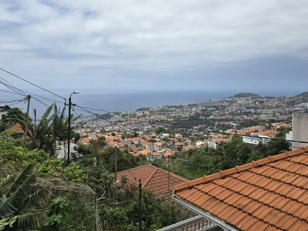 Moradia no Livramento, Funchal - Excelente Oportunidade de Investimento - Image 29