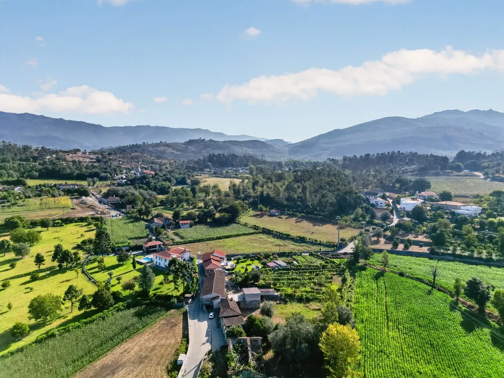 Quinta de Verim – 22.000 m² de história, natureza e potencial - Image 7