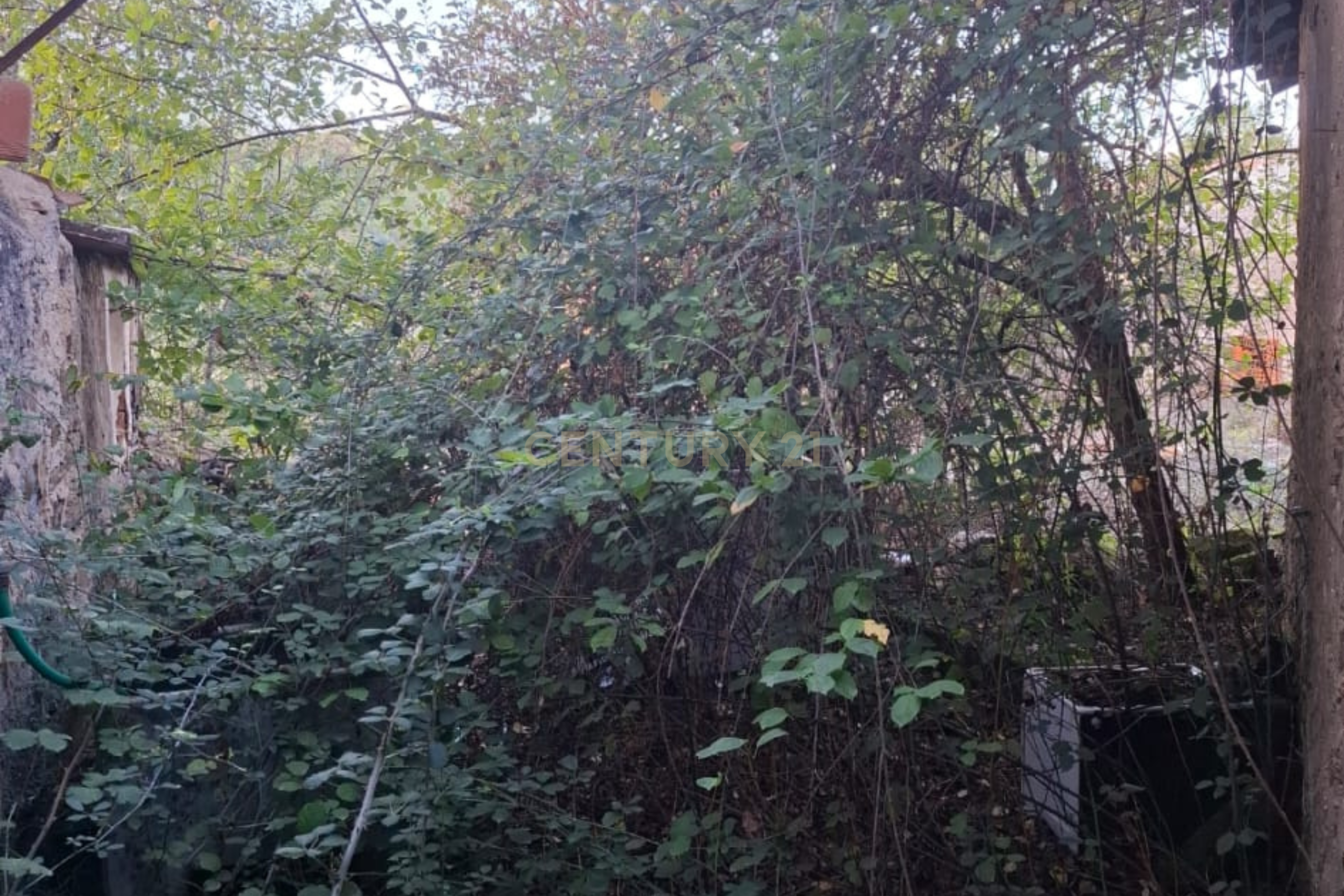 Fotografia 6 de Casa para Recuperação em Alcaravela, Sardoal