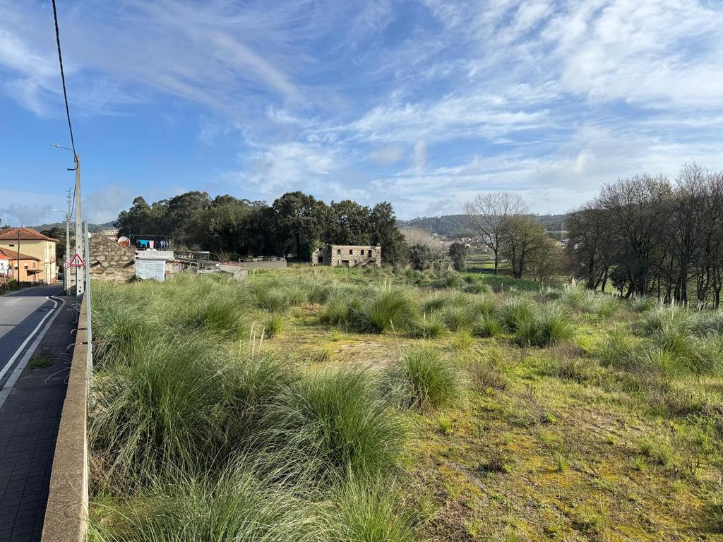 Terreno C/ 12.000 M2 com viabilidade de construção - Image 12