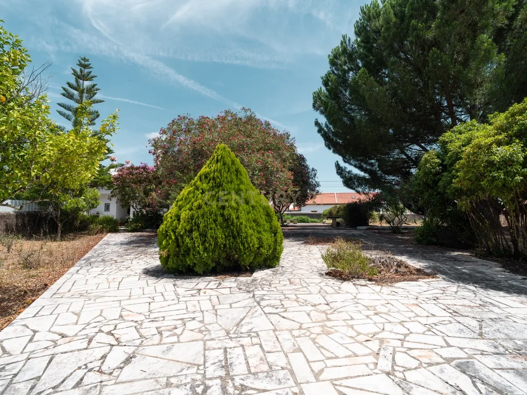 Moradia T4 Exclusiva na Comenda, Gavião – O Teu Refúgio no Alentejo! - Image 57