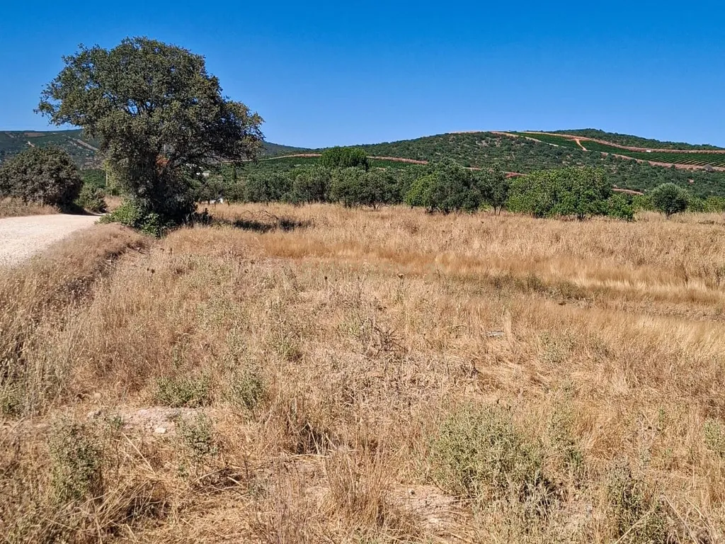 Terreno Rústico com Grande Potencial Agrícola – 7.800 m² em Paderne, Albufeira - Image 2