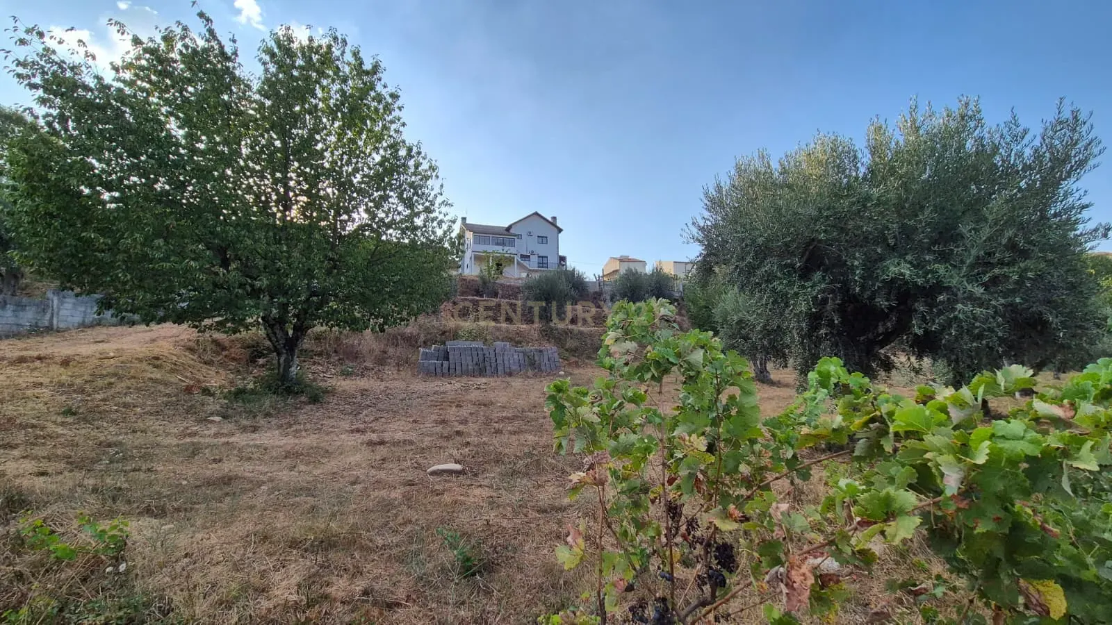 Moradia T3 à venda em Covilhã — foto 36